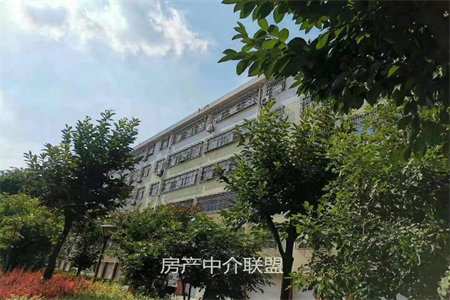 出售城平房独院一套学区房家具齐全